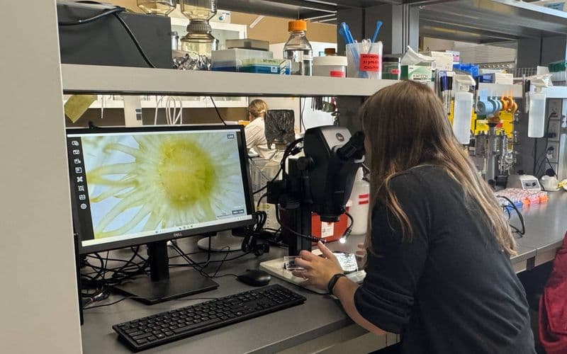 A $2.1 million NIH award for one question: why does a microbe that helps one individual fail another