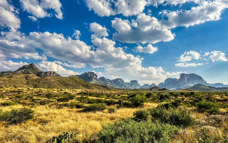 Texas Weather by Season: What Clothes Should International Students Pack?