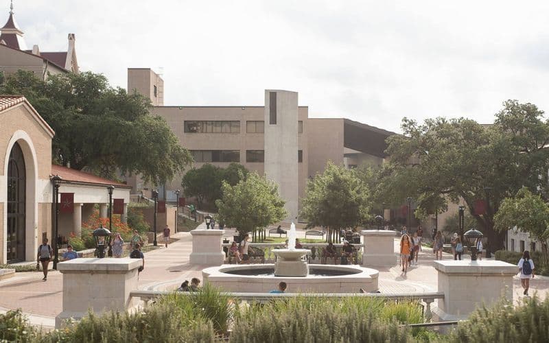 Elevate Everything: which Texas State numbers actually matter to an international student